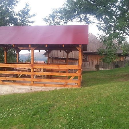 Cabana Bunicilor Rachitele Zewnętrze zdjęcie