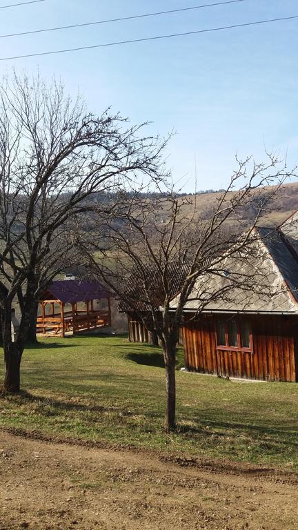 Cabana Bunicilor Rachitele Zewnętrze zdjęcie