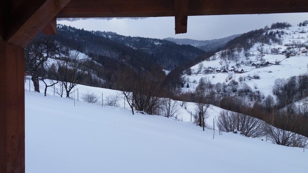 Cabana Bunicilor Rachitele Zewnętrze zdjęcie